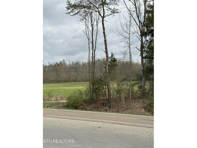 Tremendous potential in fast growing Kingston. Located near - photo 3