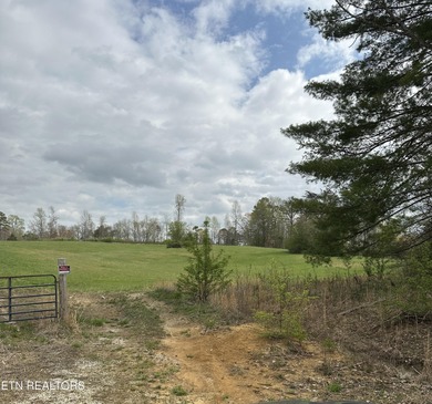 Tremendous potential in fast growing Kingston. Located near - photo 5