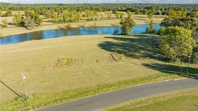Explore pristine, level waterfront lots in a top-rated school - photo 8
