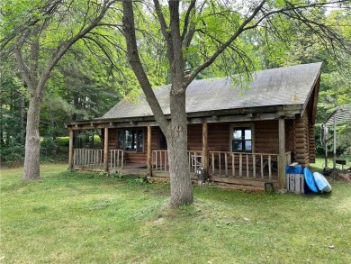 Lake Home For Sale in Hackensack, Minnesota
