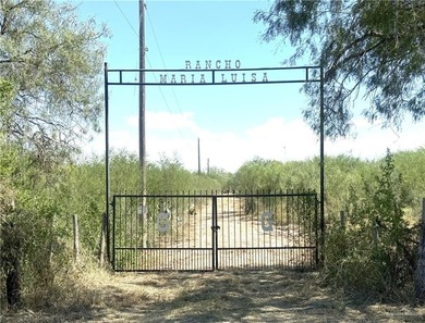 (private lake, pond, creek) Acreage For Sale in Edinburg Texas