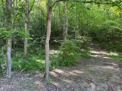 Norris Lake Acreage For Sale in Andersonville Tennessee