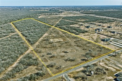 (private lake, pond, coastal) Acreage For Sale in Alice Texas