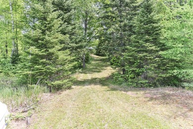 WINIFRED LAKE AT LONE PINE: Your dream property! 225 acres +/- - photo 17