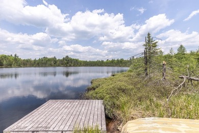 WINIFRED LAKE AT LONE PINE: Your dream property! 225 acres +/- - photo 20