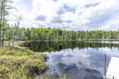 WINIFRED LAKE AT LONE PINE: Your dream property! 225 acres +/- - photo 21