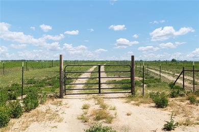 (private lake, pond, coastal) Acreage For Sale in Edinburg Texas