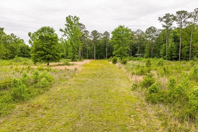 11.56 Acres | Fully Fenced | Gated | Utilities Available - photo 11