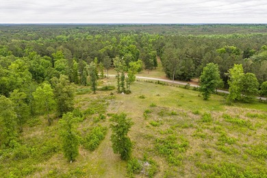 11.56 Acres | Fully Fenced | Gated | Utilities Available - photo 13