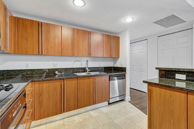 Experience the pinnacle of downtown living in this expansive - photo 15