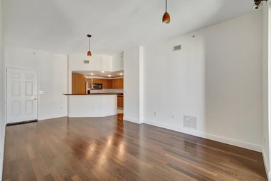 Experience the pinnacle of downtown living in this expansive - photo 21