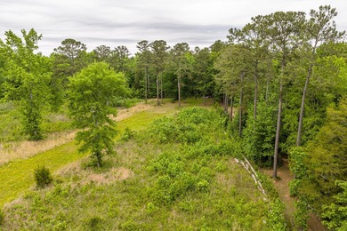 11.56 Acres | Fully Fenced | Gated | Utilities Available - photo 33