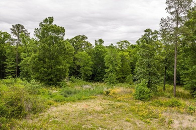 11.56 Acres | Fully Fenced | Gated | Utilities Available - photo 39