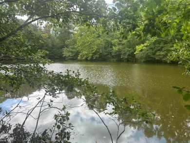 Lake Acreage For Sale in Nathalie, Virginia