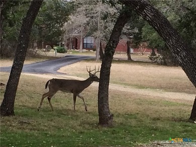 Tucked away on over 2 peaceful acres in the sought-after Woods - photo 42