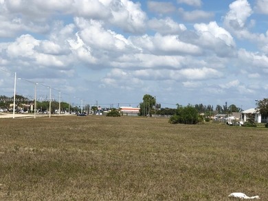 Cape Coral Area Lot Sale Pending in Cape Coral Florida