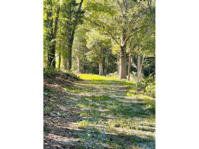 Lake Lot For Sale in Halifax, Virginia