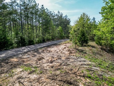 Beautiful 5.48+/- acre dream lot in THE HIGHLANDS! Features a - photo 11