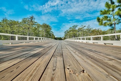 Build Your Dream Home in Cypress Dunes - Prime Vacant Lot in - photo 17