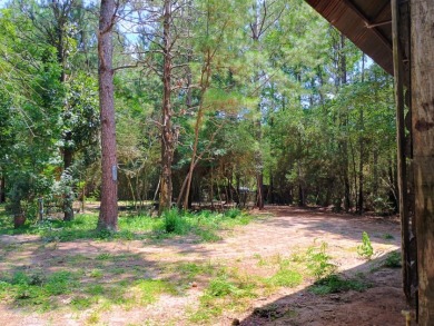 Private Lake Community With Enchanting Acreage Retreat - photo 15