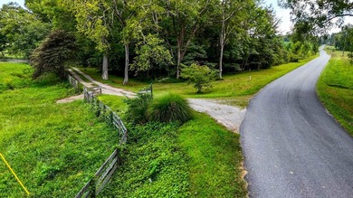 Buckshoal Farm's 222.33-acre offering represents a rare - photo 9