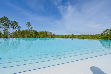 Build Your Dream Home in Cypress Dunes - Prime Vacant Lot in - photo 33
