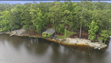 Nestled on a sprawling 0.57-acre lot in the heart of the Village - photo 36