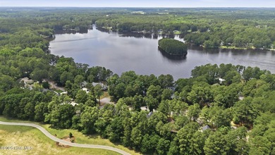 Nestled on a sprawling 0.57-acre lot in the heart of the Village - photo 41