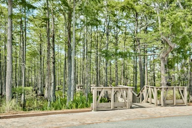 Build Your Dream Home in Cypress Dunes - Prime Vacant Lot in - photo 51