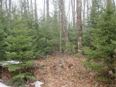 Lake Acreage For Sale in Watersmeet, Michigan