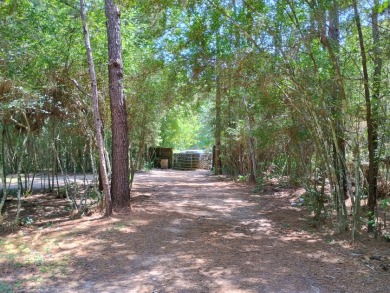Private Lake Community With Enchanting Acreage Retreat - photo 23