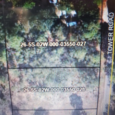  Lot For Sale in Panacea Florida