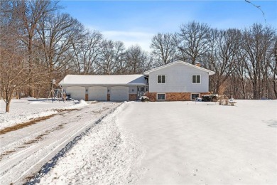 Lake Home For Sale in Ramsey, Minnesota