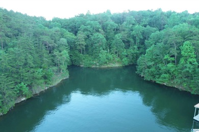 Lake Wedowee / RL Harris Reservoir Acreage Sale Pending in Wedowee Alabama