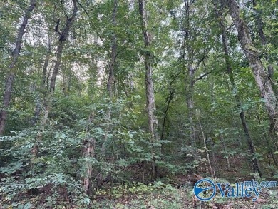 Lake Guntersville Acreage For Sale in Guntersville Alabama