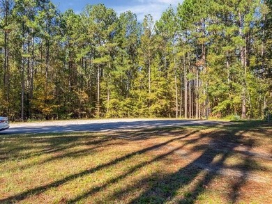 Build your dream lake home on this 1.14 acre private lake lot in - photo 11