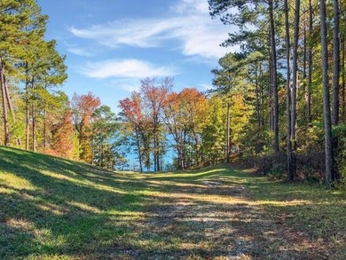 Build your dream lake home on this 1.14 acre private lake lot in - photo 12