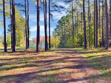Build your dream lake home on this 1.14 acre private lake lot in - photo 13