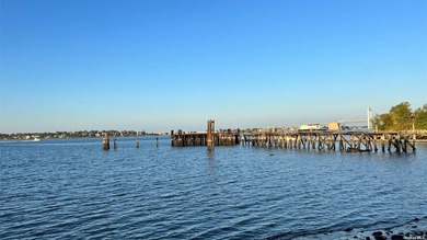 4 bedroom 3 bath waterfront all brick pristine contemporary with - photo 7