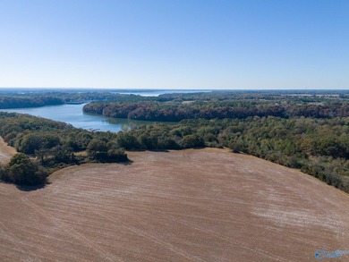 Being next to the Tennessee River & directly behind the boat - photo 27