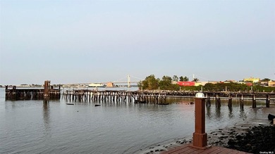 4 bedroom 3 bath waterfront all brick pristine contemporary with - photo 9