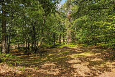 Rare opportunity to own a 440-acre private retreat just minutes - photo 30