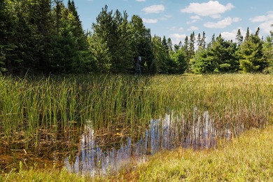 Rare opportunity to own a 440-acre private retreat just minutes - photo 34