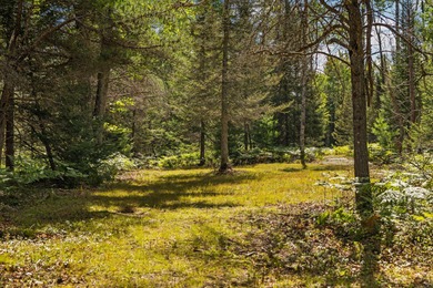 Rare opportunity to own a 440-acre private retreat just minutes - photo 37