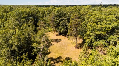 Rare opportunity to own a 440-acre private retreat just minutes - photo 39