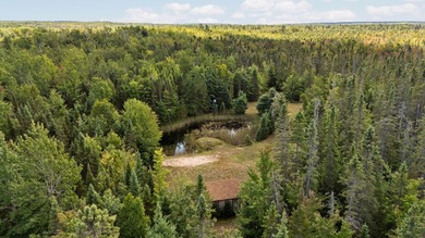 Rare opportunity to own a 440-acre private retreat just minutes - photo 40