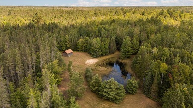 Rare opportunity to own a 440-acre private retreat just minutes - photo 41