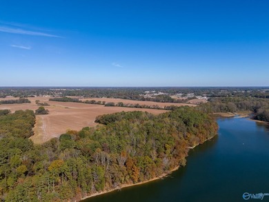 Being next to the Tennessee River & directly behind the boat - photo 42