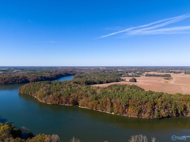 Being next to the Tennessee River & directly behind the boat - photo 43