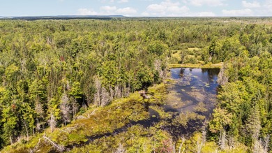 Rare opportunity to own a 440-acre private retreat just minutes - photo 43